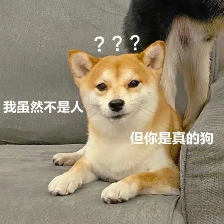 我虽然不是人但你是真的狗_不是_虽然_真的表情