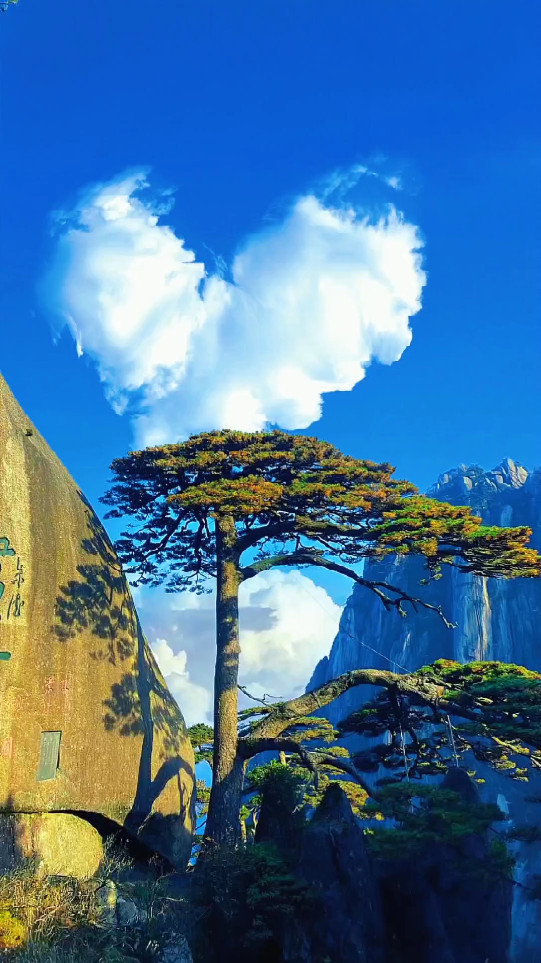 大鹏一日同风起,扶摇直上九万里