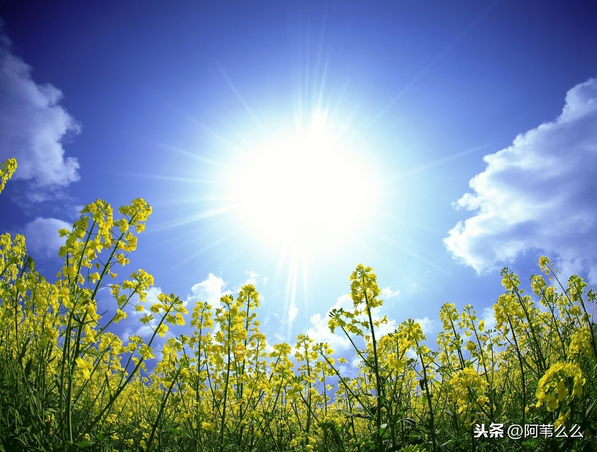 充满正能量的句子,阳光向上,读一读受益匪浅_手机搜狐网