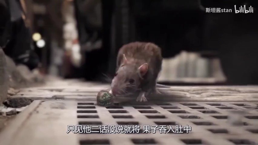 正文  《吞噬》老鼠吃了坏果实,身体发霉没人管,最终引发了全球性灾难