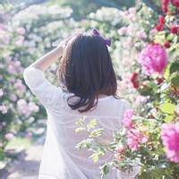 微信背影风景或花草_微信头像图片大全