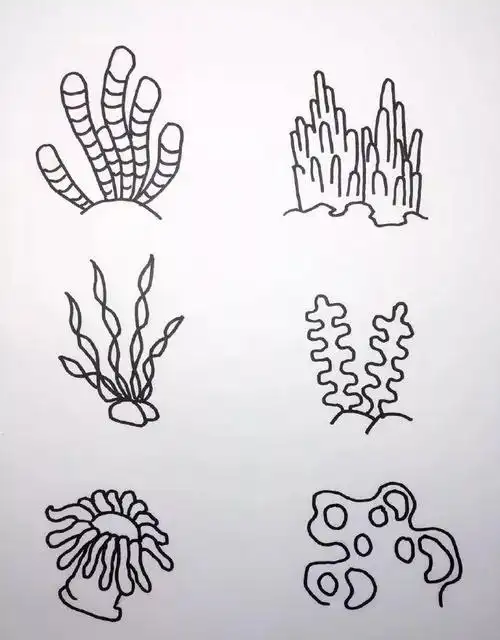 ▼海底动物简笔画合集