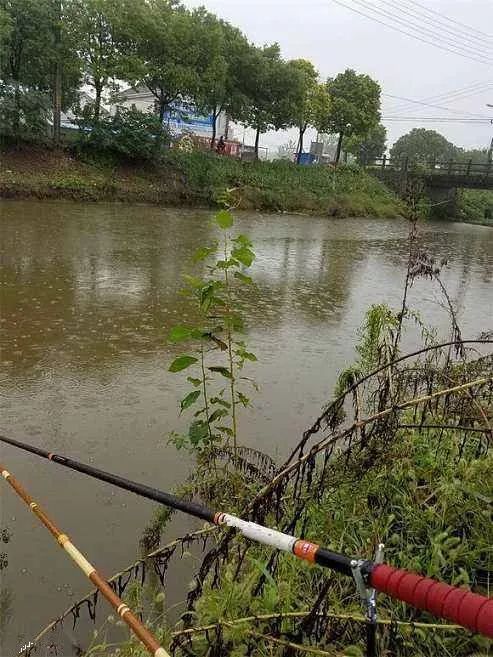 雨天钓鱼怎么钓?把握好鱼儿活跃的短暂时间