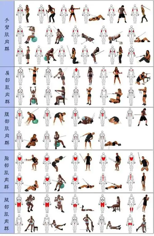 (2)训练计划 热身后就要进入正式训练 有氧运动就不说了 无非是跑步