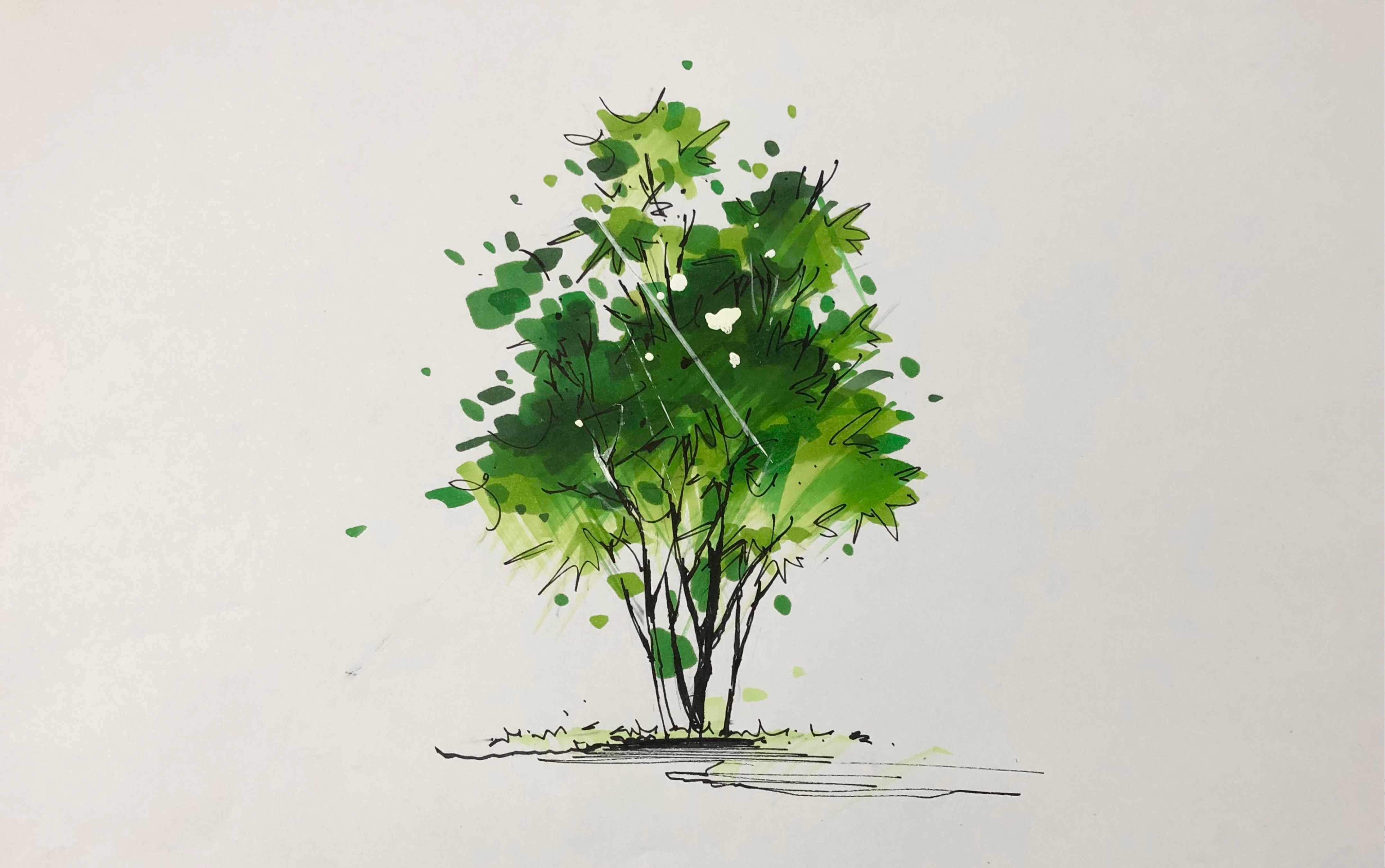 【马克笔手绘】景观植物教程_哔哩哔哩 (゜-゜)つロ 干杯~-bilibili