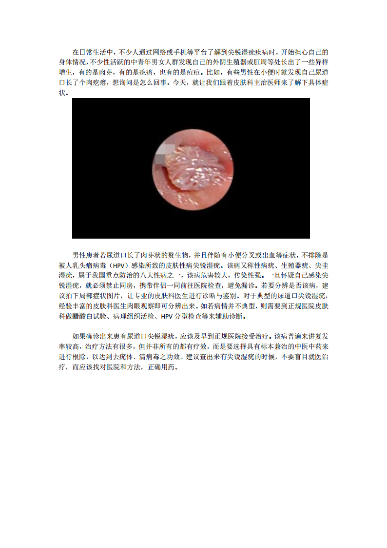 尿道口长了个肉疙瘩怎么回事docx