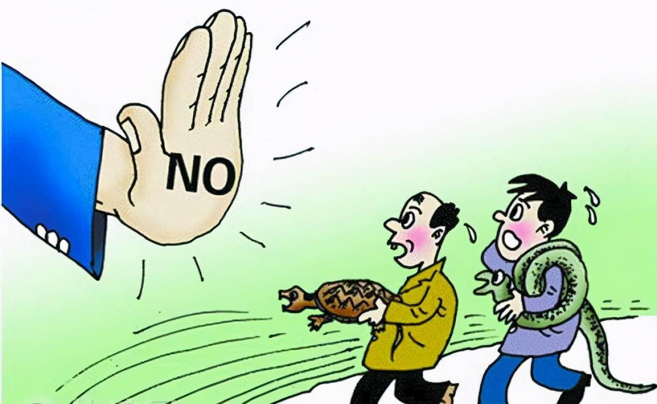 参加野生动物保护联合专项执法