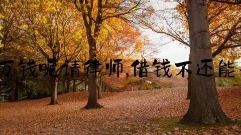 怎么向人借6万钱呢请律师,借钱不还能去法院起诉吗_北京法律律师咨询