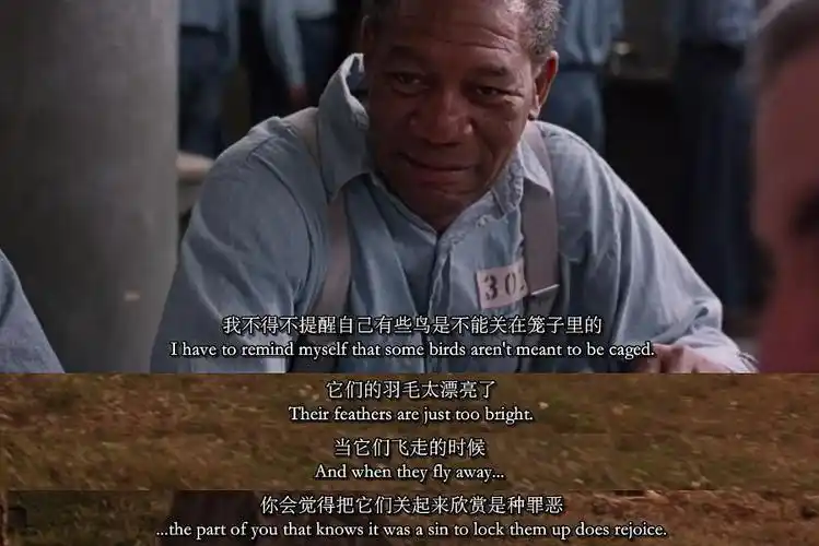 从自由谈起(肖申克的救赎)影评