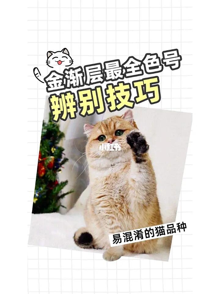 金渐层色号最完整的辨别方法