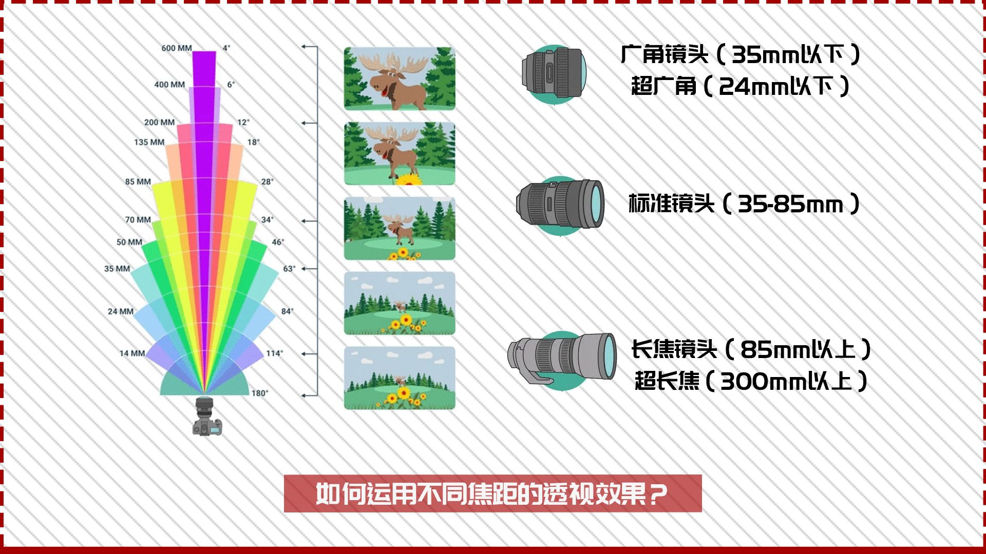 镜头焦距的门道你真的了解吗
