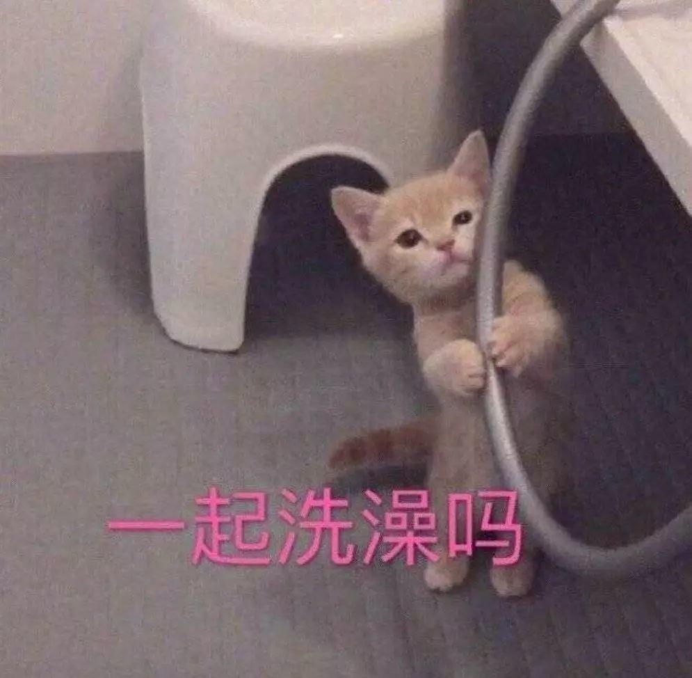 撩女朋友的表情包30张撩妹必备情话表情