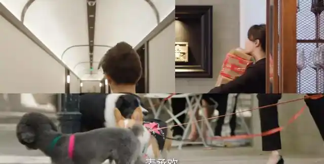 开播杨紫和许凯领衔主演观众这部剧一播出收视就会杀疯