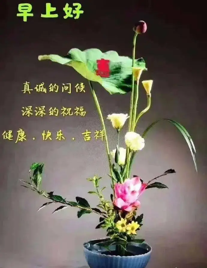 新版微信早晨好祝福图片表情带字,2024朋友圈最新版早上好问候语句_好