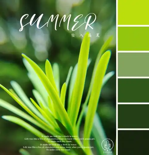 别管清淡或者浓烈,苦辣还是酸甜.花都开好了,去挥霍夏天.