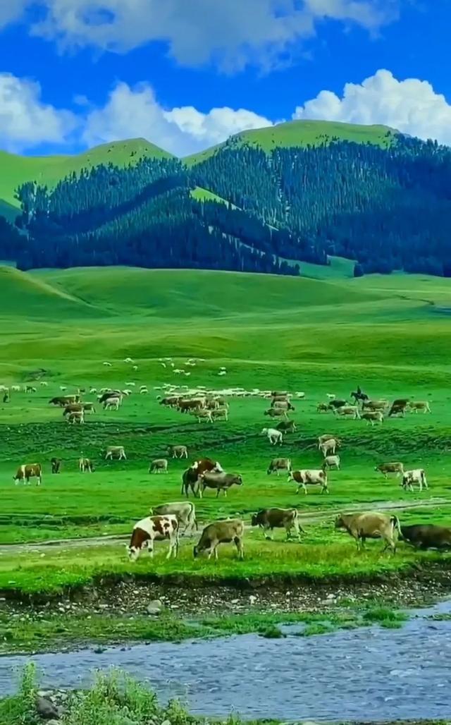 那拉提是全国六大最美草原之一,也是世界四大高山河谷草原之一, 被评