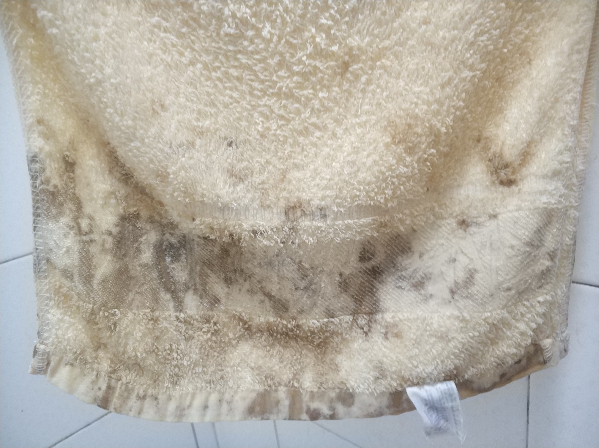 毛巾这样是发霉了还是怎么?还能继续用吗?