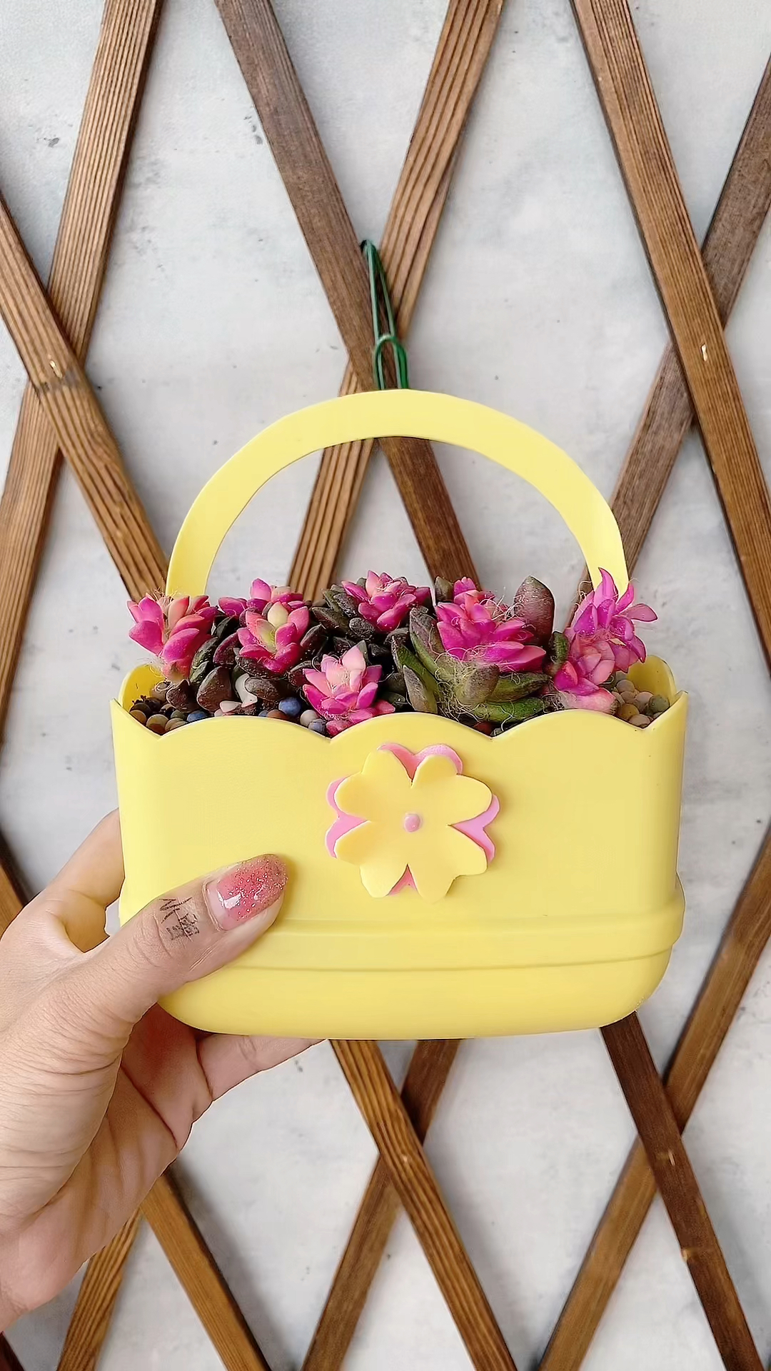 家里用完的洗洁精瓶子不要扔做款简单又好看的花盆吧适合初学者喔