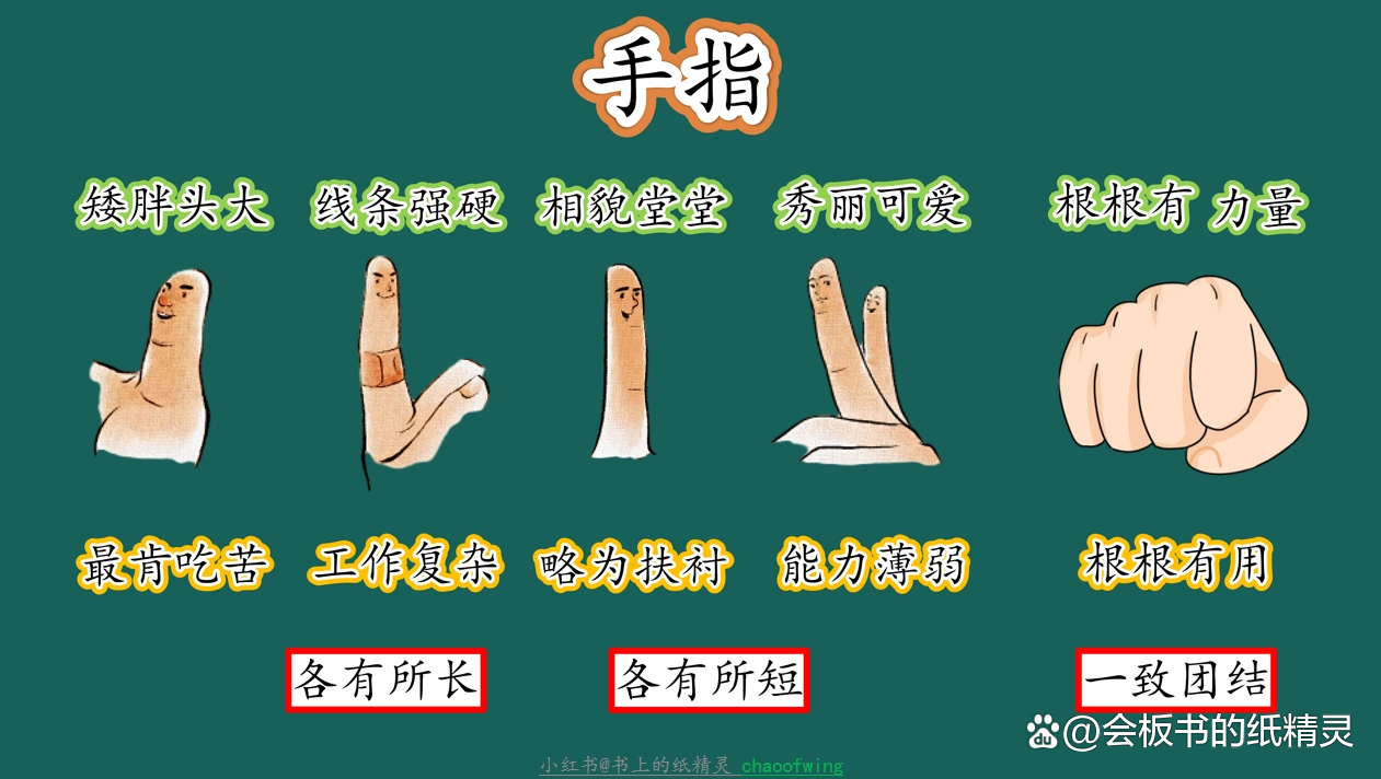 《手指》板书设计