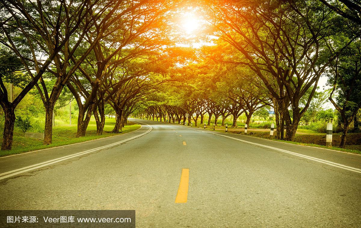 一条美丽的长路,路旁有高大的绿树,阳光照射的背景.