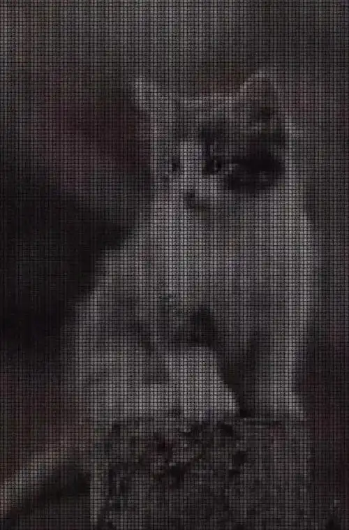 抖音我喜欢你隐藏表白图片大全