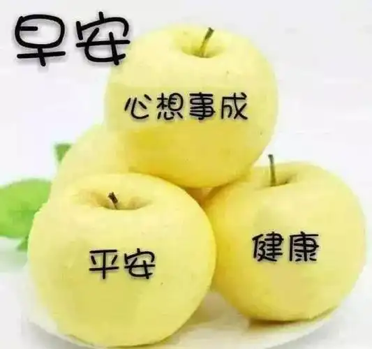 早安问候语幽默很温馨很漂亮的早上好表情早安祝福问候语句精选