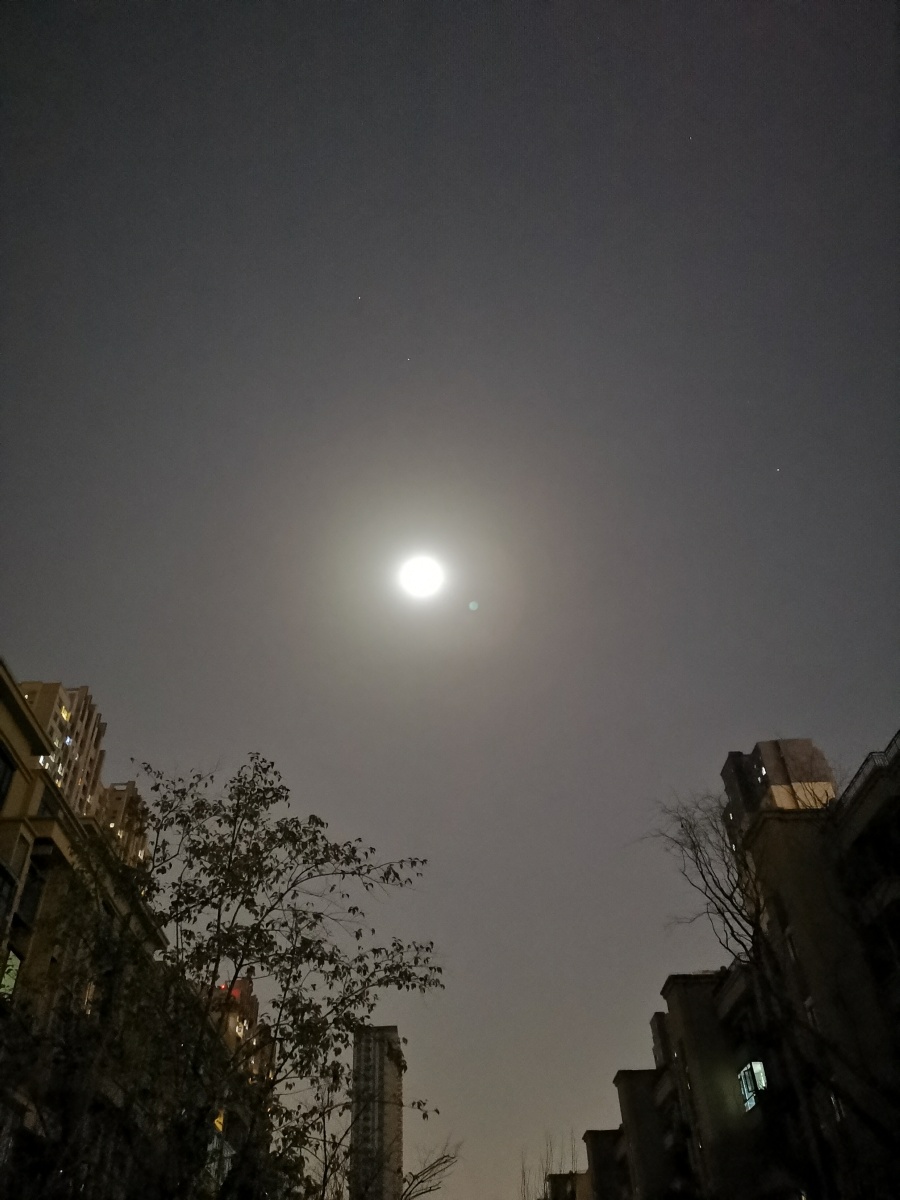 圆圆的月亮