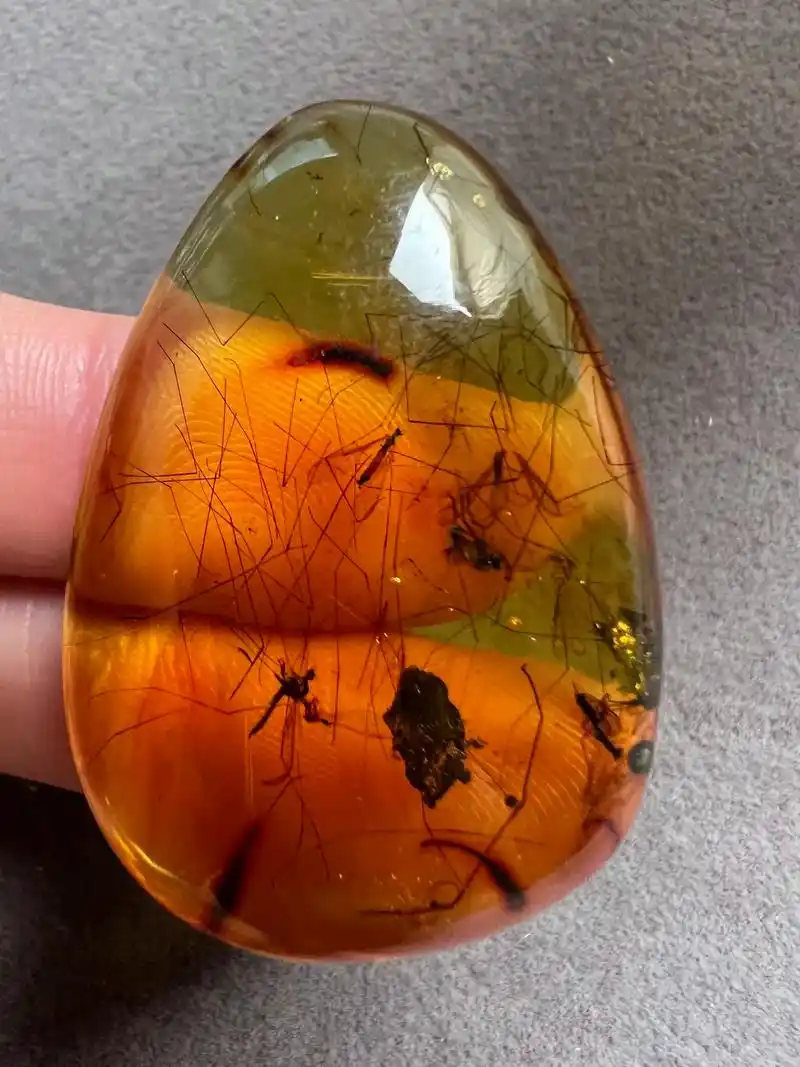 上亿年前的虫子 #琥珀蜜蜡 #天然琥珀 #虫珀 - 抖音