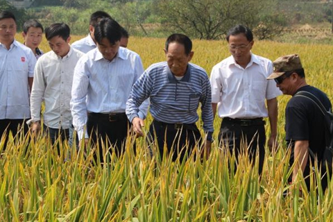 中国"杂交水稻之父"袁隆平逝世