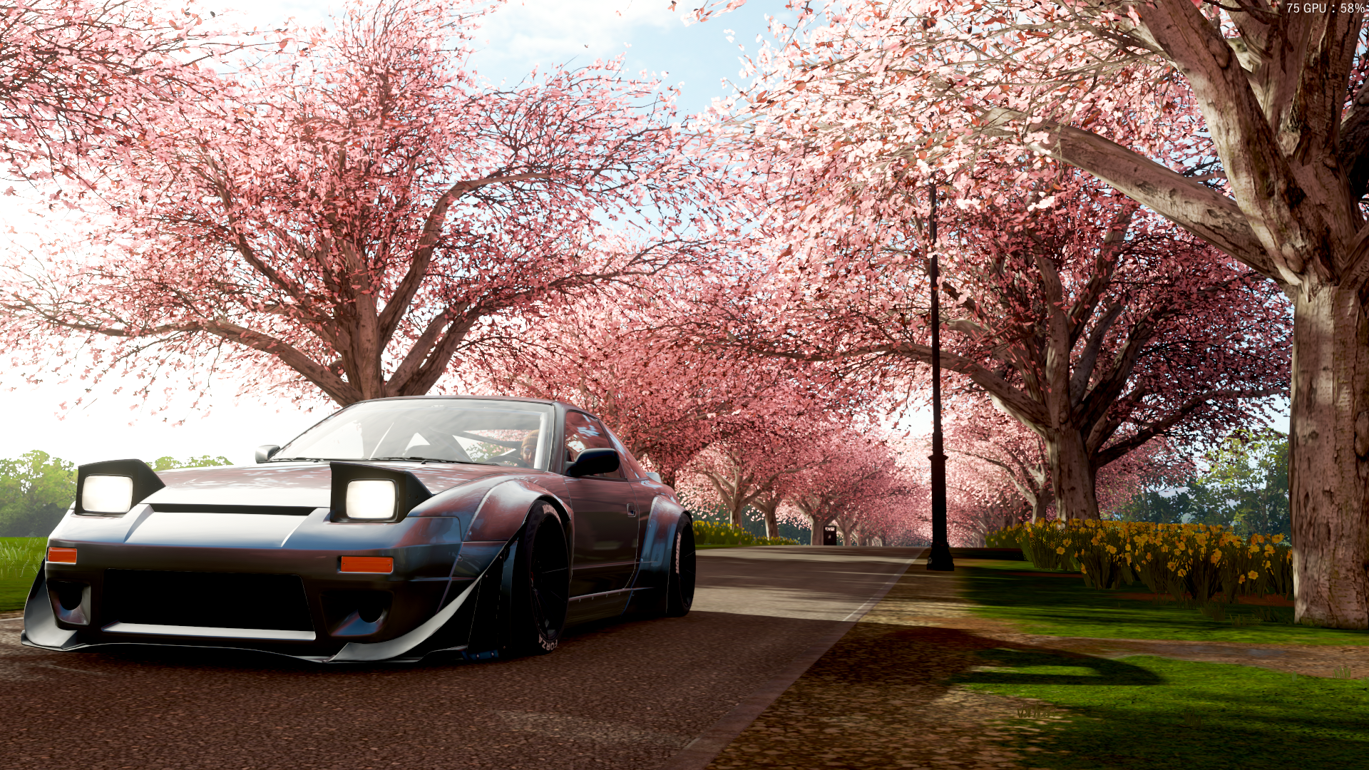 (樱花 花海 篇)极限竞速 地平线4个人摄影作品分享