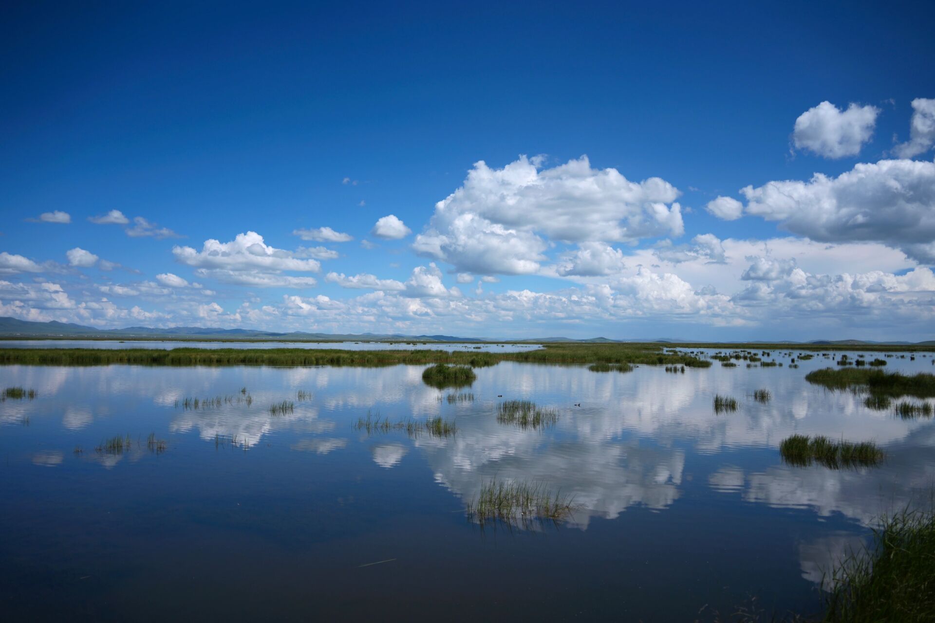 若尔盖草原——花湖 今天主要是去网红打卡地若尔盖花湖景区,花湖之名