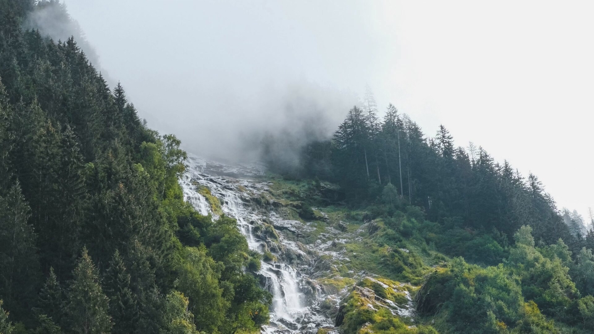 绿色大自然风景高清动态壁纸