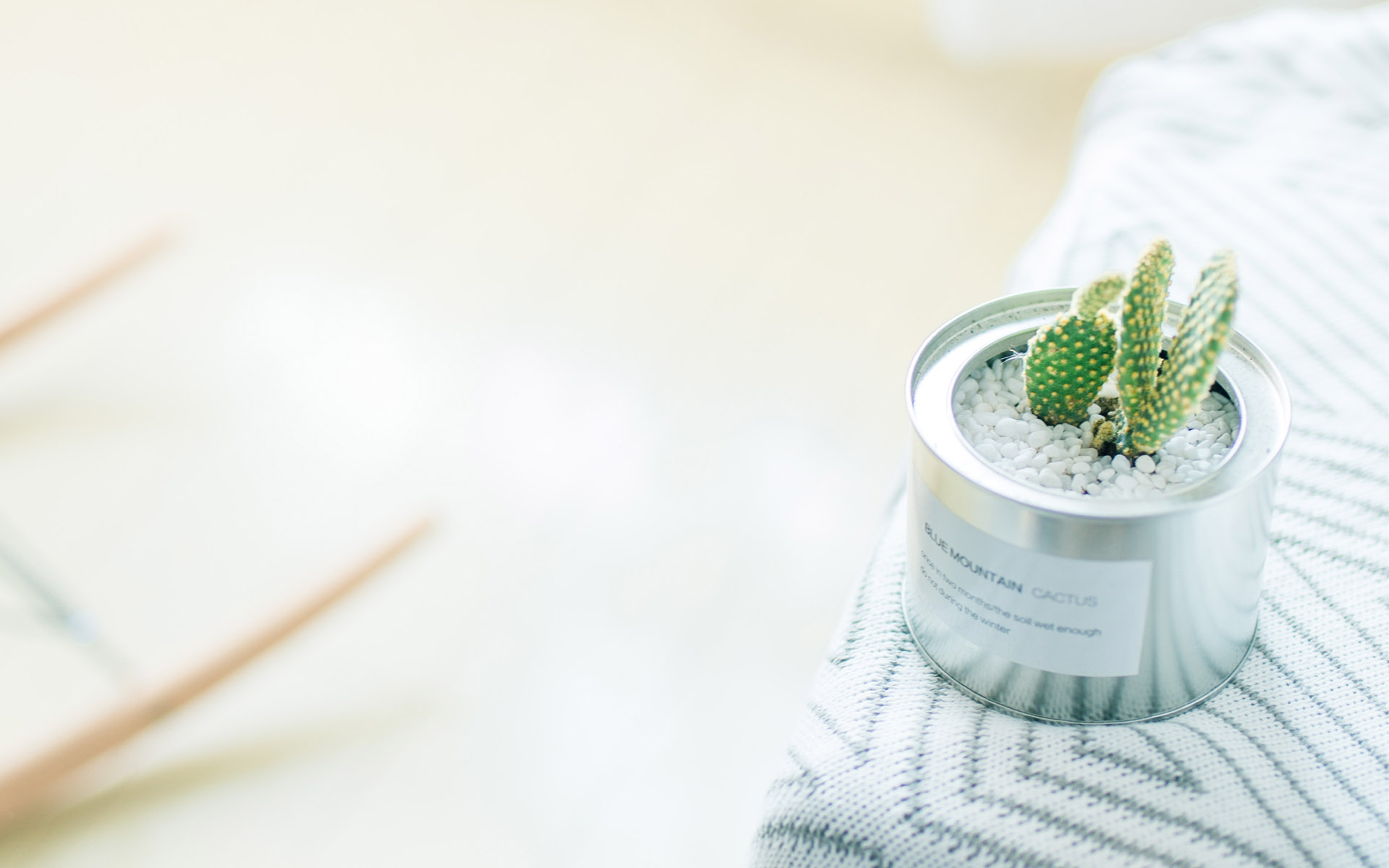 小清新治愈系静物高清唯美壁纸