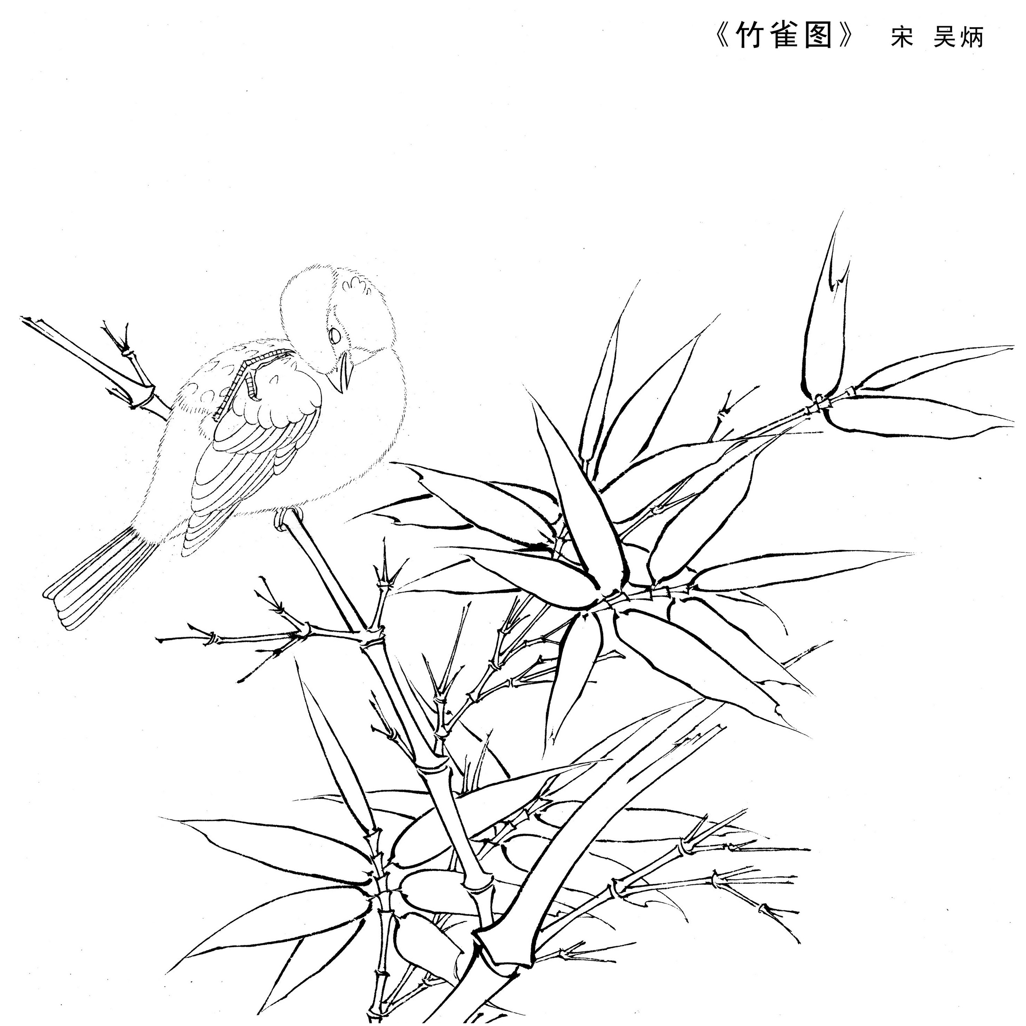 儿童画素材白描线描速写