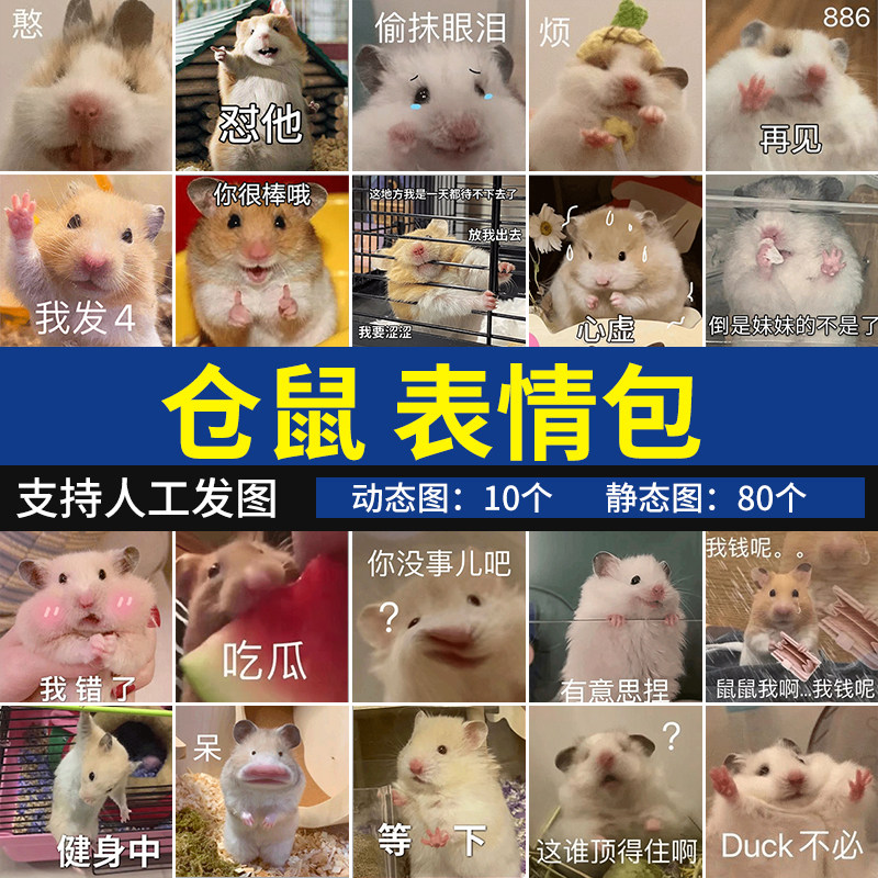 小仓鼠表情包 可爱动物萌宠搞笑沙雕聊天斗图表情图系列