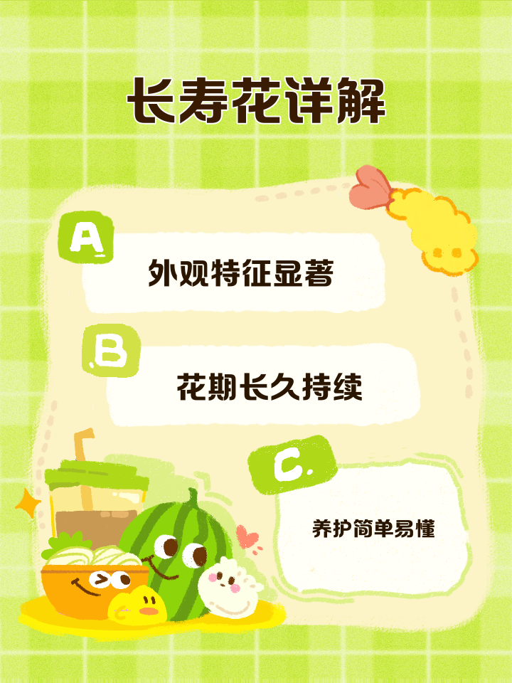 1️⃣外观特征显著 🌱 根系与茎干:长寿花的根系超级发达,茎