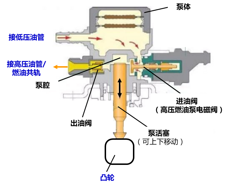 出油阀(单向阀,机械装置)以及泵体与进油阀/出油阀形成的泵腔组成