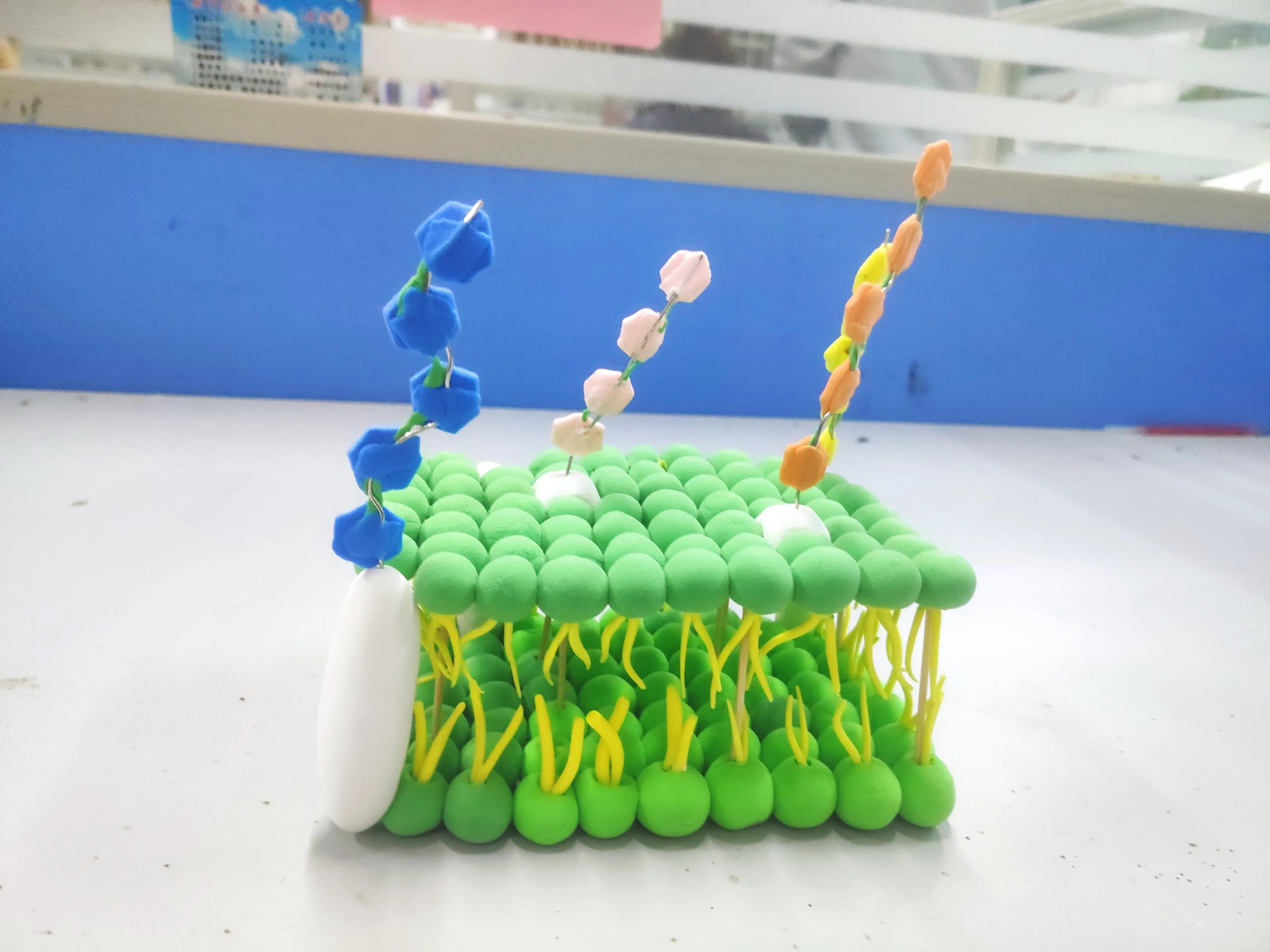 生物模型手工制作 废物利用制作生物模型 - 汽车时代网