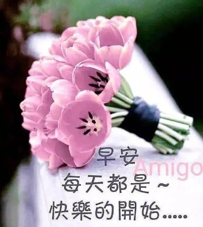 新版微信早上好问候语唯美早安问候图片带字