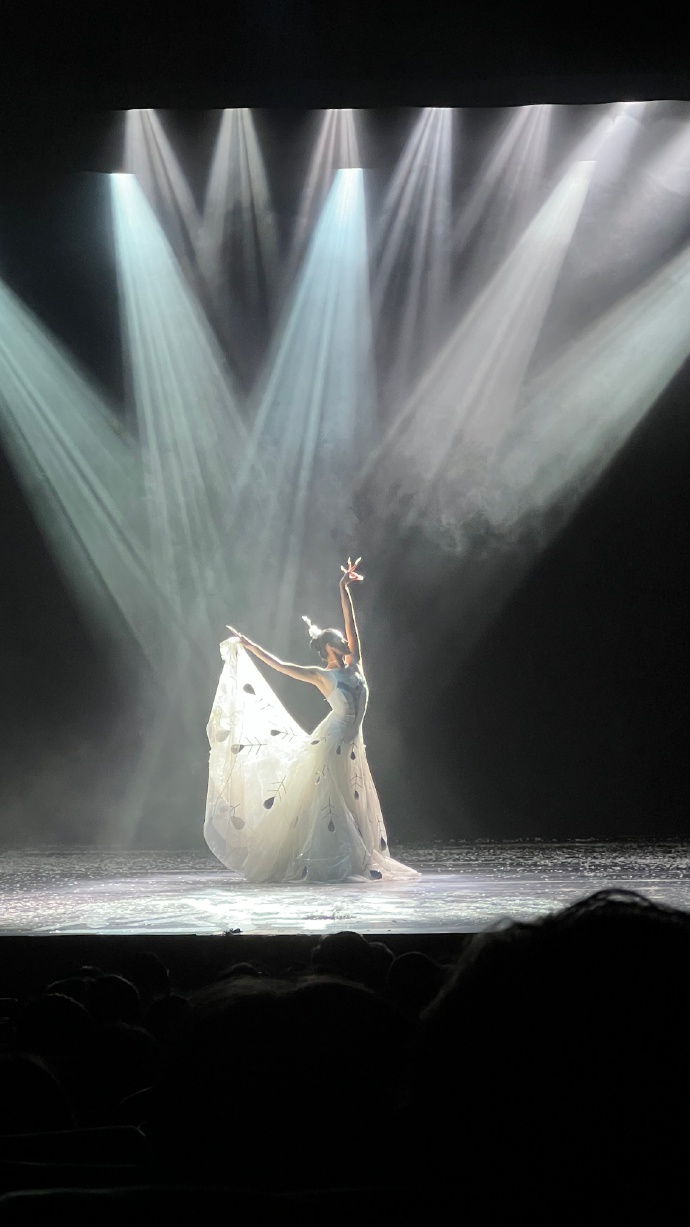 杨丽萍老师作品!《云南映象》