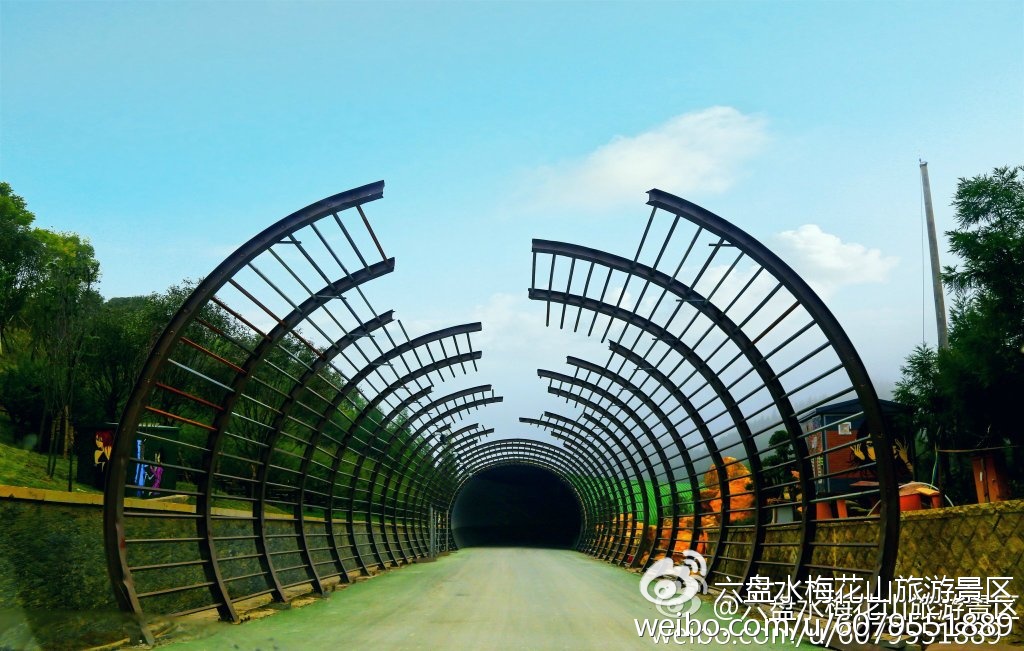 首届"最美瞬间·印象梅花山"摄影作品征集比赛