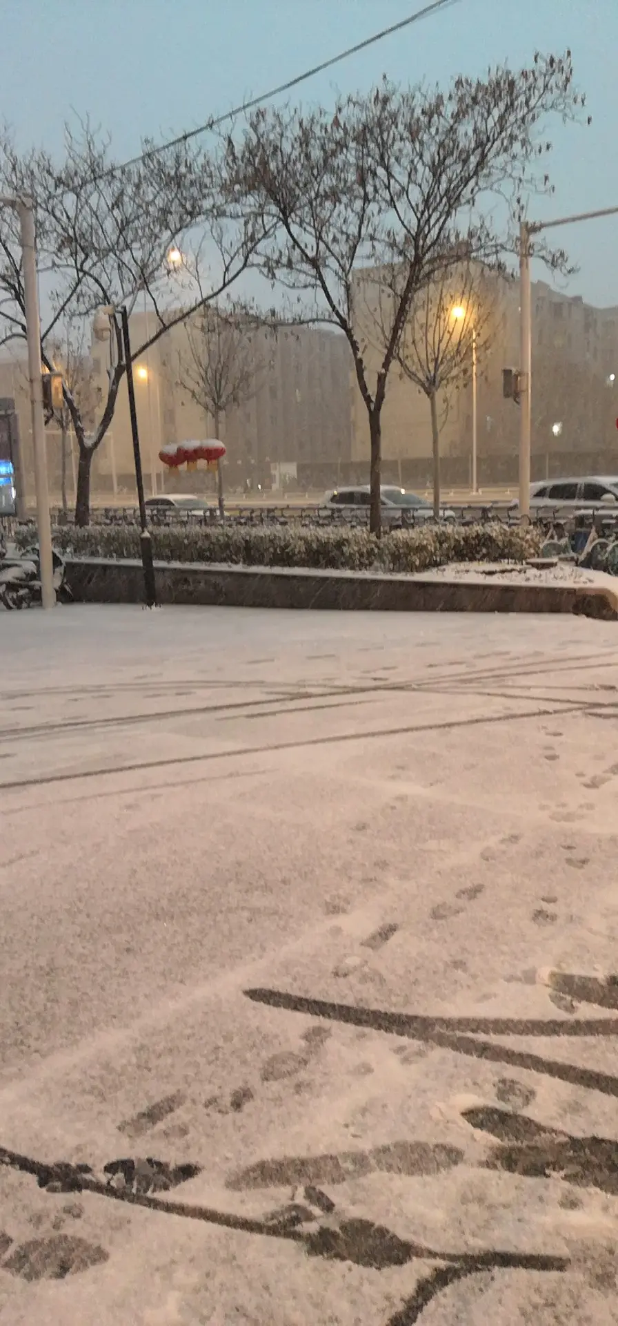 2019-2-13 下雪了