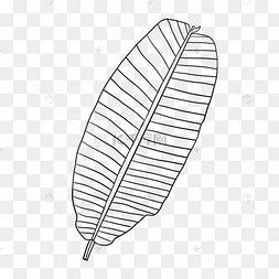 热带线稿可爱横线芭蕉叶