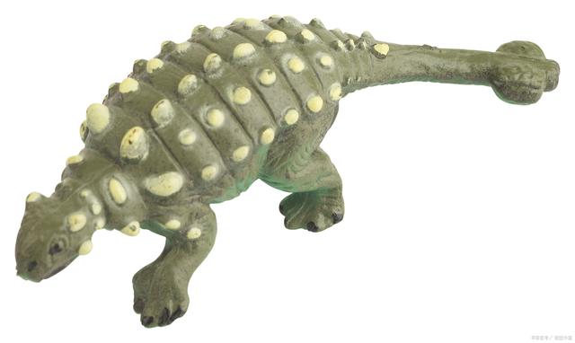 甲龙是恐龙中非常特殊的一种,它的尾巴上有一个形状独特的尾锤.