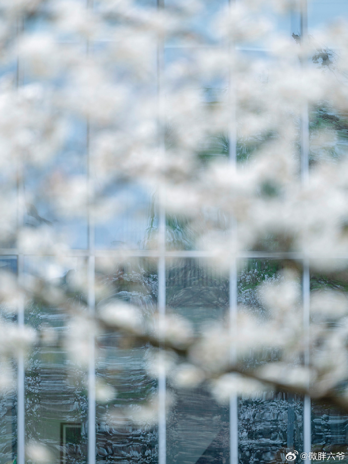 城市巡游记##春日抓捕计划##春游季