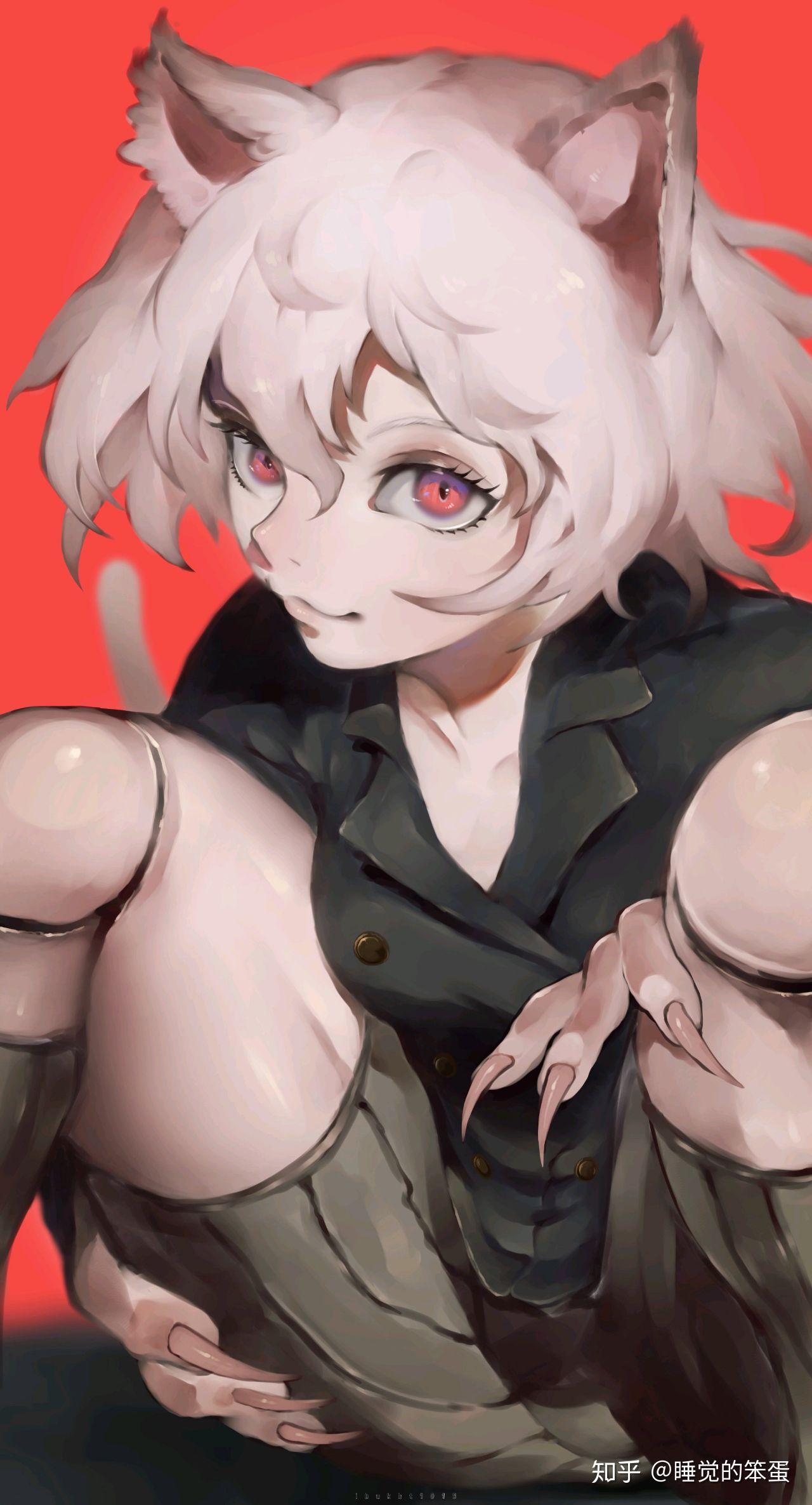 对于全职猎人里面的尼飞比特猫女的看法