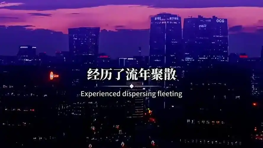 人生路上,没人替你决定方向;心中的伤,没人替你擦去泪光;经历