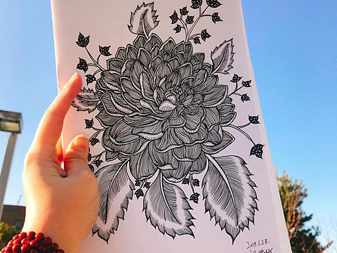 线描,黑白_素材网站_图片免费下载-zcool站酷