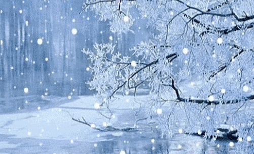 如同冬天的有的人走着走着,转眼文/麻雀漫天飞舞的雪花