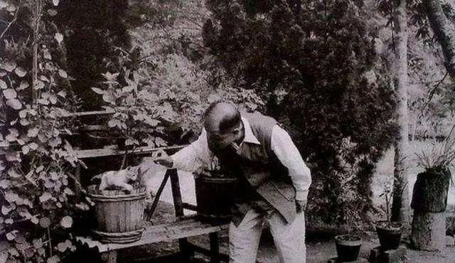 他被称为"中国希特勒",外表儒雅却内心狠毒,曾欺负张学良夫妇